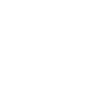 Cerbera Gallery | Crossroads Arts District | KCMO