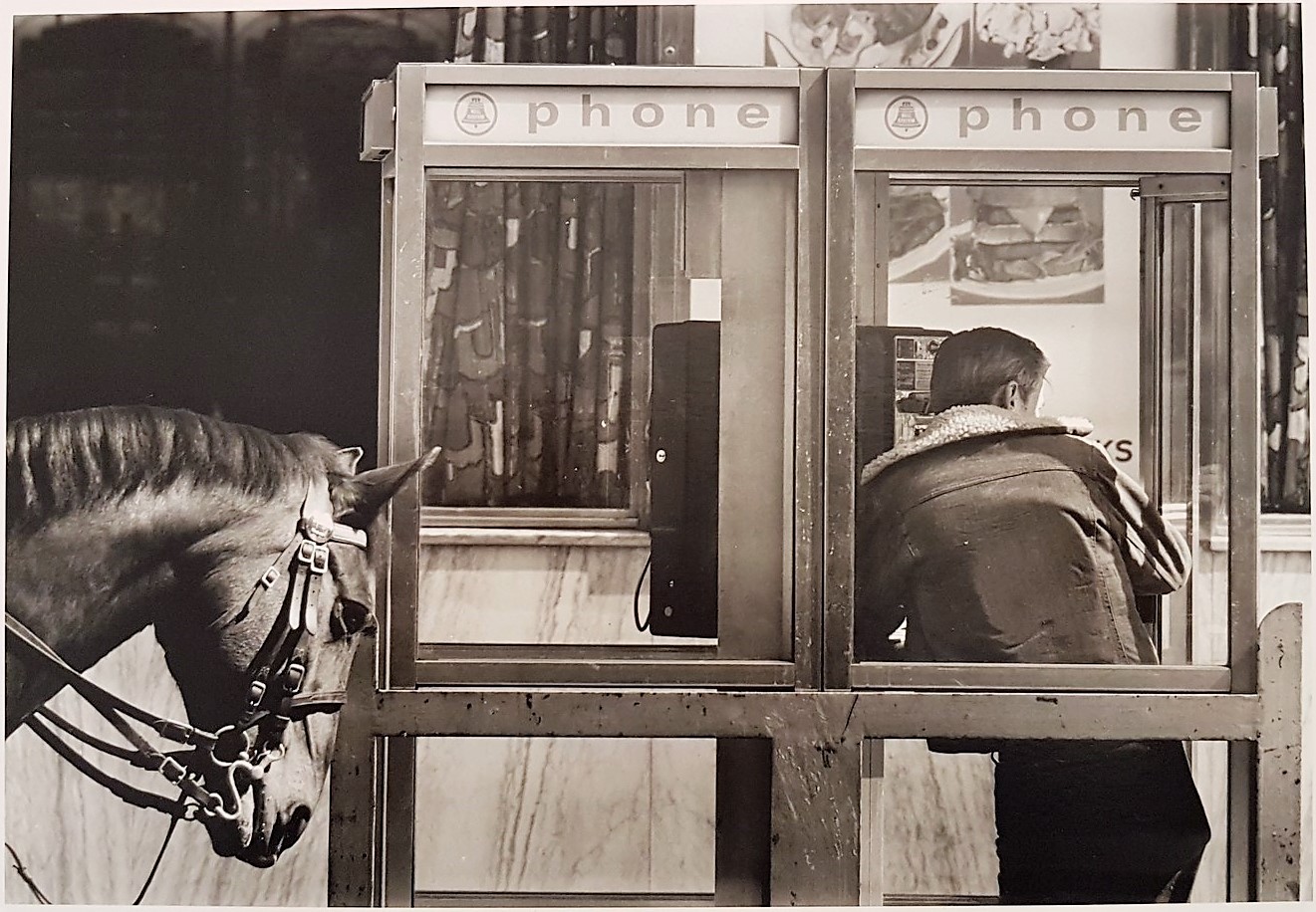 Cerbera Gallery: Dirk Reinartz