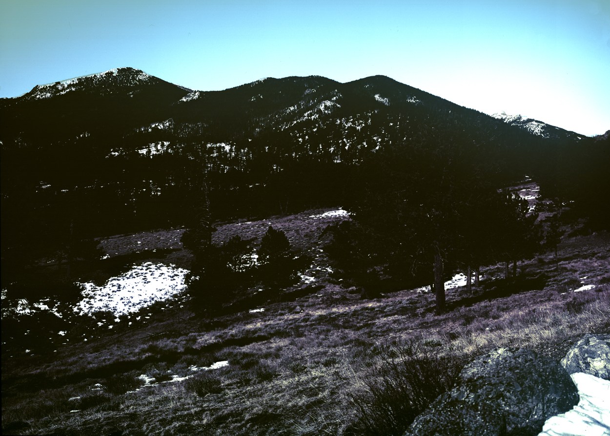 Bay Blue In The Harbor - Title : Bay Blue In The Harbor