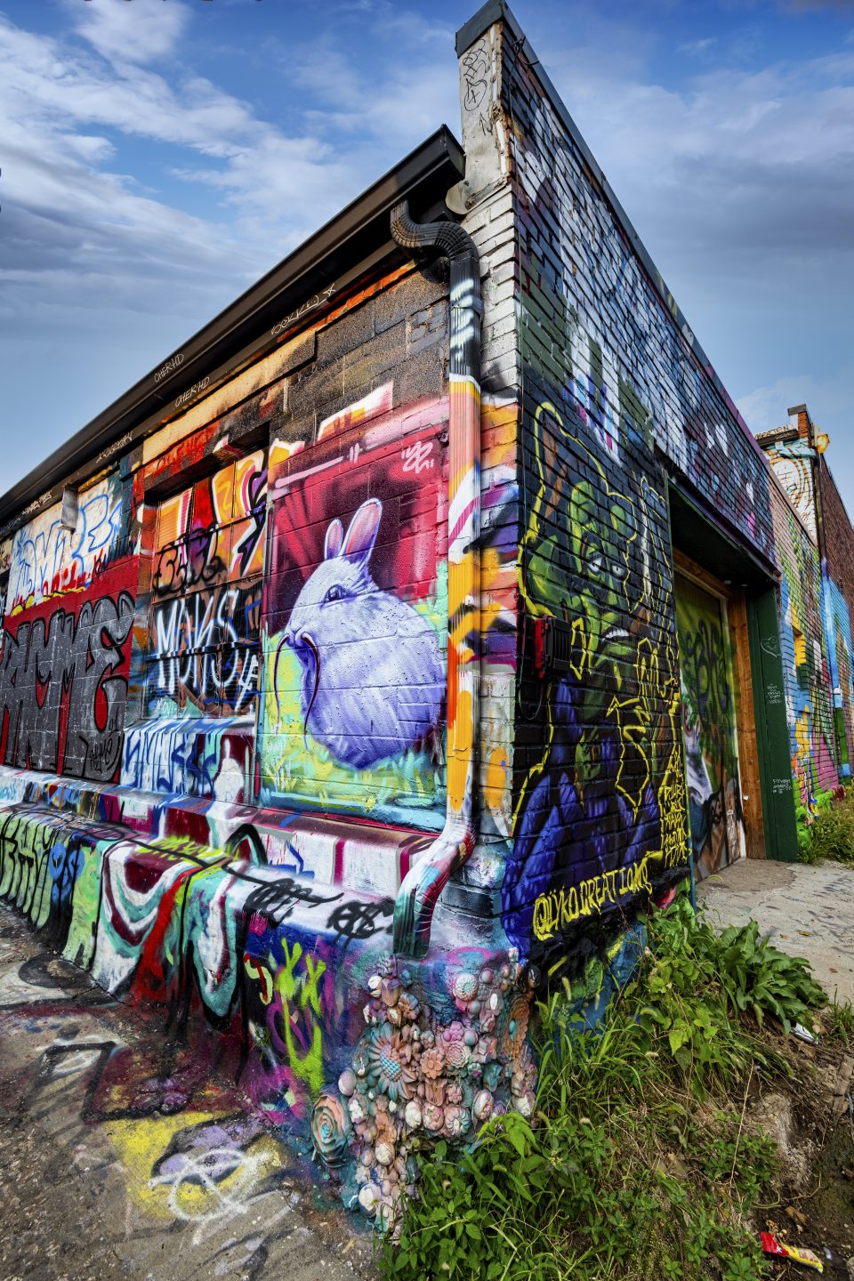 Bunny Rat Building - Jack Hayhow